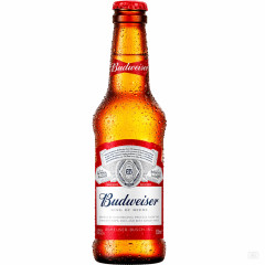 CERVEJA BUDWEISER LONG NECK 330ML